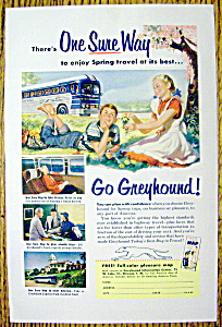 1953 Greyhound