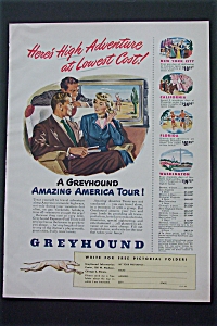 1950 Greyhound With People Talking